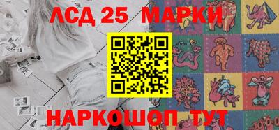 шишки Будённовск