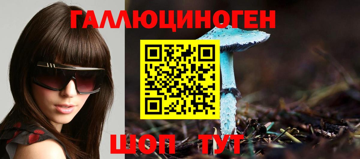 Псилоцибиновые грибы Psilocybine cubensis  купить закладку  Ялта  Псилоцибиновые грибы мицелий  Вход с VPN 
